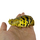 Коллекционная фигурка Полиптерус Эндлихера (Polypterus endlicherii)