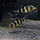 Боция Tiger (Chromobotia sp. sf. Tiger)