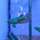Петушок GLO green ocean