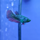 Петушок GLO green ocean