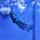 Петушок GLO green ocean