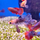 Петушок ассорти (Betta splendens)