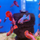 Петушок ассорти (Betta splendens)