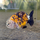 Золотая рыбка Ранчу ситцевый L (Carassius auratus)