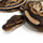 Королевский питон Cinnamon M