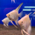 Скалярия платиновая белая (M) (Pterophyllum scalare)