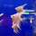 Скалярия платиновая белая (M) (Pterophyllum scalare)