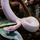 Королевский питон Super Mojave