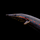Угорь мастацембелус краснополосый L (Mastacembelus erythrotaenia)