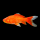 Карась красный L (Carassius auratus)
