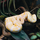 Королевский питон Albino 66%  het Pied