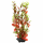 Растение аквариумное Tetra Red Ludvigia M с утяжелителем, 23 см