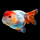 Золотая рыбка Львиноголовка ассорти M (Carassius auratus)