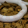 Маисовый полоз peppermint (Amelanistic & Cinder)