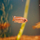 Апистограмма Макмастера (Apistogramma macmasteri)