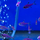 Пристелла GLO пурпурная (Pristella maxillaris Purple)