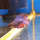 Петушок двухвостый (самка) (Betta Splendens)