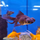 Золотая рыбка Телескоп бабочка черный ML (Carassius auratus var.)