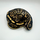 Королевский питон (Mojave Yellow Belly), S