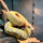 Королевский питон Banana GHI Enchi