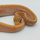 Королевский питон Hypo Orange Dream Spinner 100% het Pied