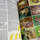 Glaw Amphibians and Reptiles of Madagascar 2007