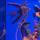 Скалярия получерная вуалевая (Pterophyllum scalare)