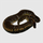 Королевский питон Pinstripe het Pied M