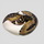 Королевский питон Piebald L