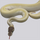 Королевский питон Super Mojave самка L