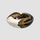 Королевский питон Piebald L