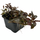 Людвигия красная P8 (Ludwigia natans Super Red)