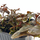 Людвигия красная P8 (Ludwigia natans Super Red)