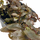 Людвигия красная P8 (Ludwigia natans Super Red)