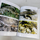 Claudia CORTI & Pietro LO CASCIO The Lizards of Italy and Adjacent Areas 2002
