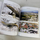 Claudia CORTI & Pietro LO CASCIO The Lizards of Italy and Adjacent Areas 2002
