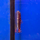 Гастромизон краснохвостый SK2 (Gastromyzon sp. SK2 Red Tail)