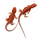 Агама бородатая Dark Red