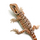 Агама бородатая hypo Leatherback S