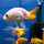 Золотая рыбка Ранчу ассорти М (Carassius auratus)