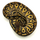 Королевский питон (Mojave Pastel), M Королевский питон (Mojave Pastel), M