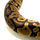 Королевский питон Super Mojave Yellow belly