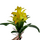 Гузмания искусственная желтая, 25 см