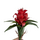 Гузмания искусственная красная, 25 см