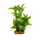 Искусственное растение на подложке (5шт/уп) 8х7х14см
