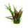 Искусственное растение на подложке Апоногетон 22х18х31см