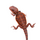 Агама бородатая Dark Red Translucent