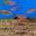 Барбус линейный (Desmopuntius johorensis)
