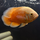Астронотус супер красный M (Astronotus ocellatus)