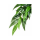 Тропическое растение Exo Terra Jungle Plants Рускус большое, 70х20 см